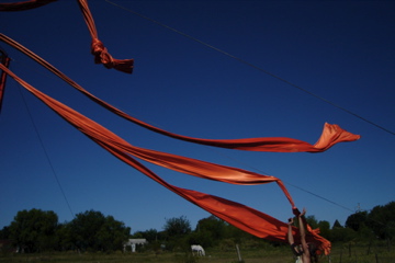 © Clowns Sans Frontières -Uruguay - 2007